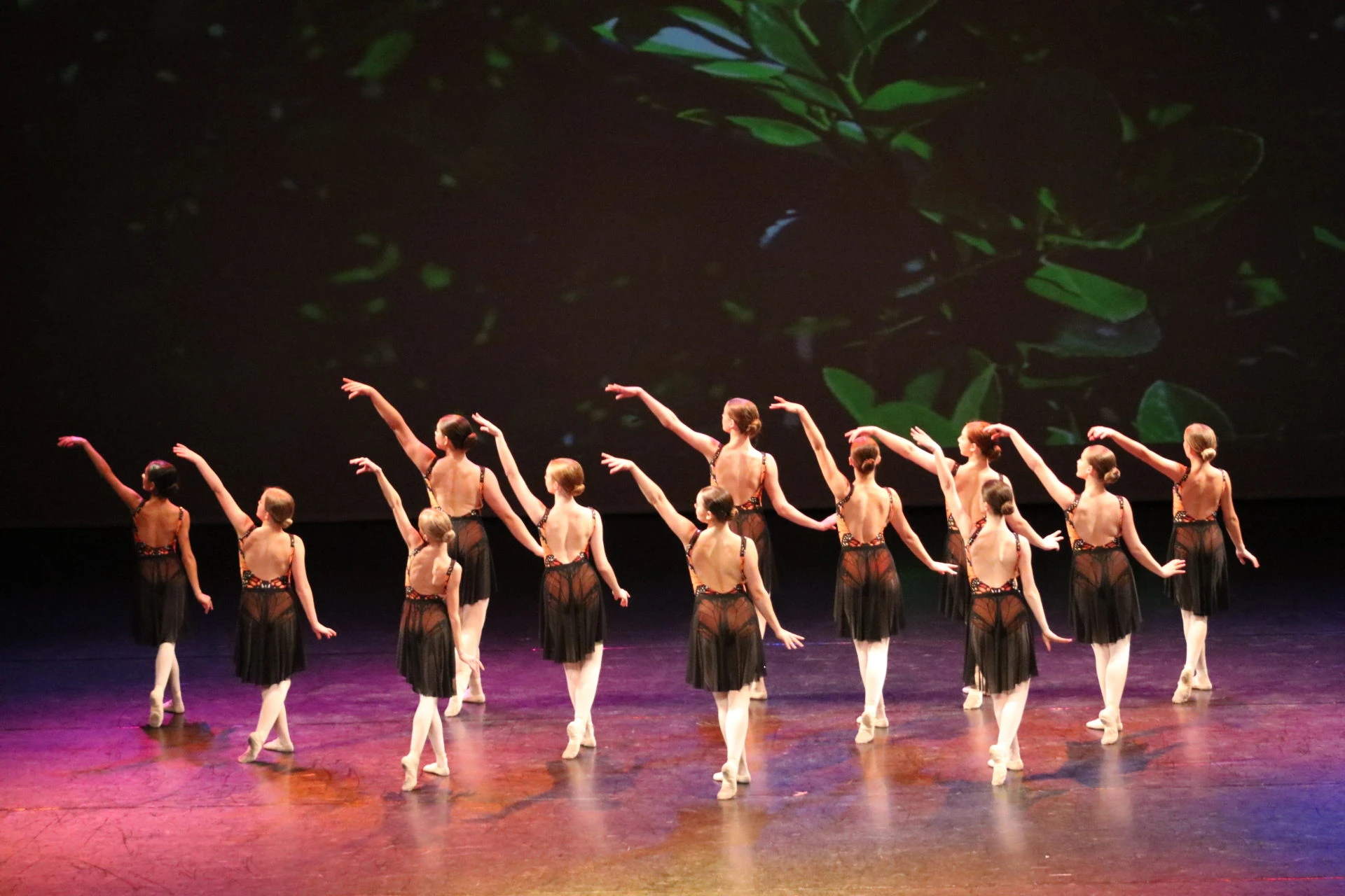 Orleans Ballet Dancers practicing technique